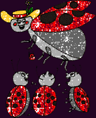 Cztery brokatowe biedronki
